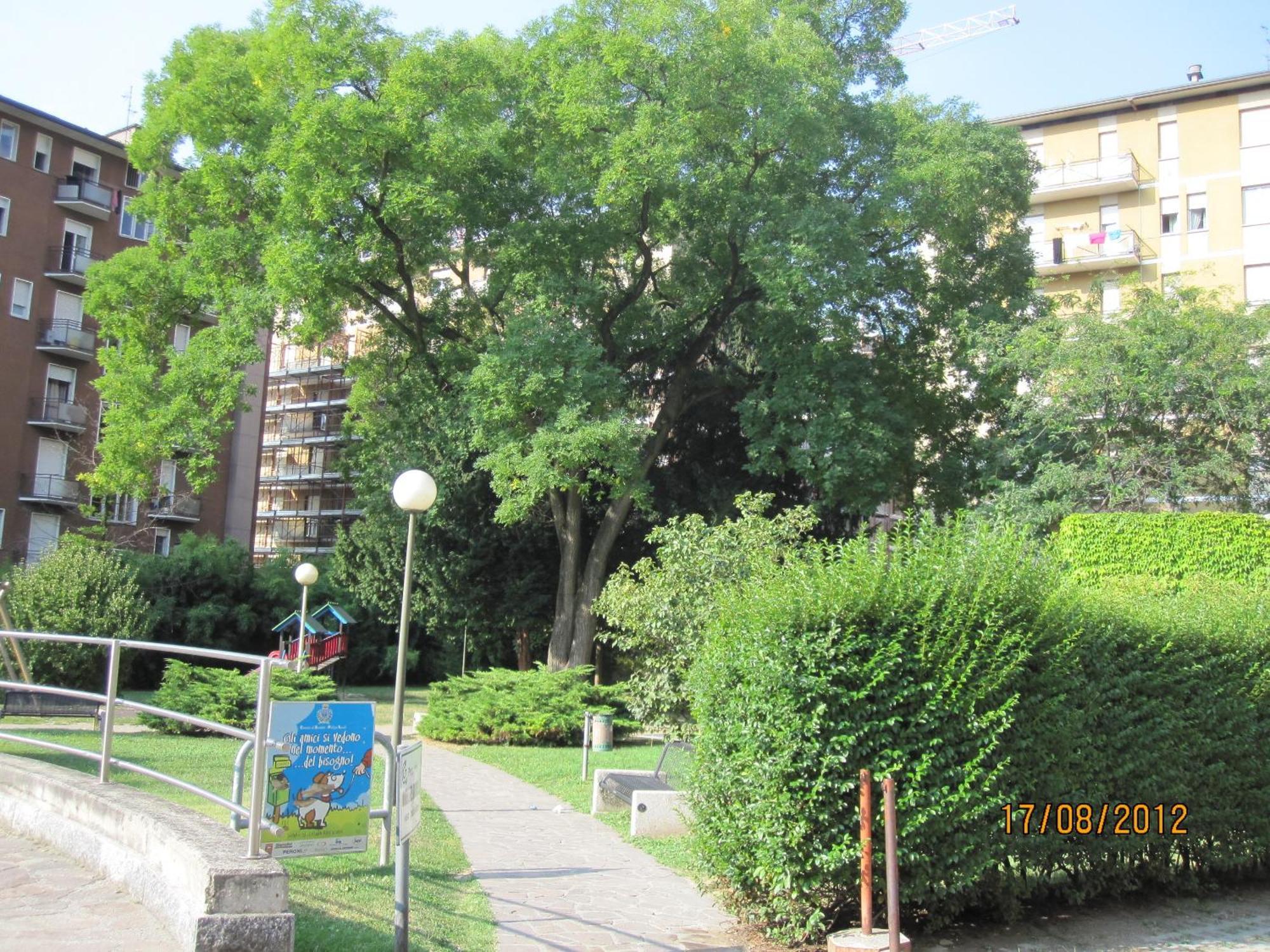 Piazzi House Aparthotel Sondrio Exteriör bild